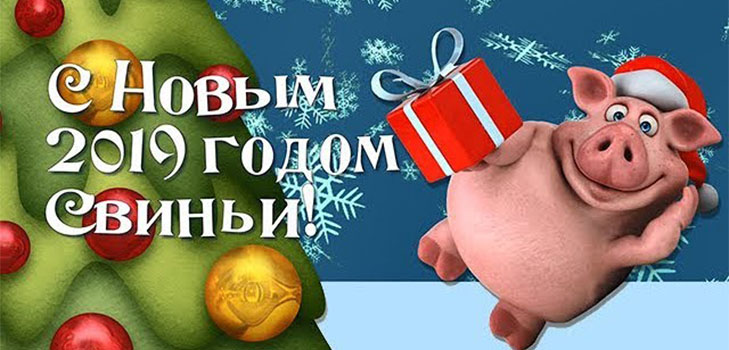 С новым 2019 годом свиньи